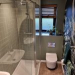 toilet and shower install