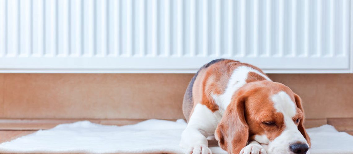 Why is one of my radiators-not working and how to fix it